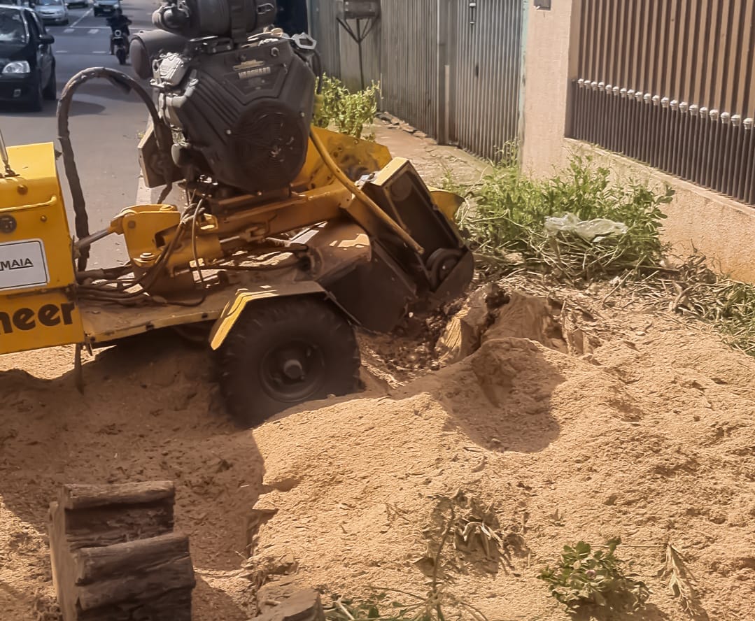 Prefeitura de Sarandi segue com a retirada de 500 tocos mapeados pelo Plano Municipal de Arborização; previsão é alcançar 3 mil remoções